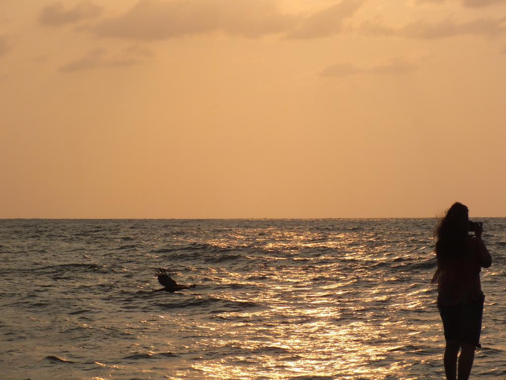 Thoms Beach Homestay Alappuzha Zewnętrze zdjęcie